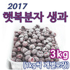 [소포장]2017 햇복분자생과 3kg